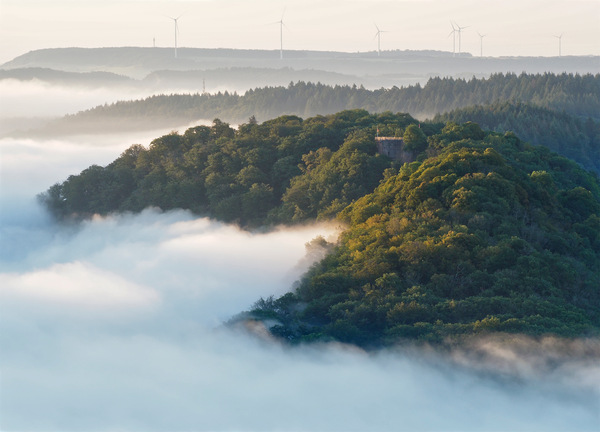Nebellandschaft im August