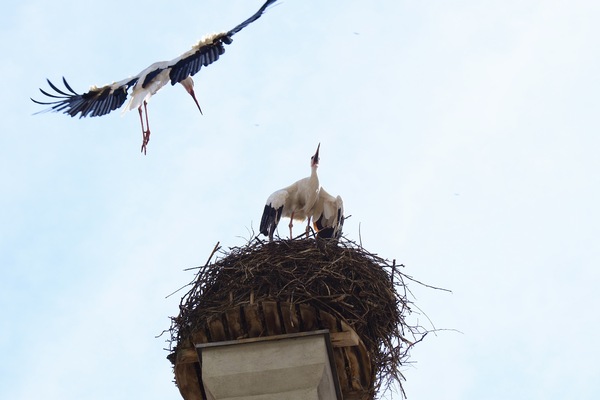Landeanflug