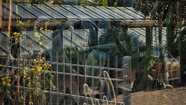 Vor dem Kakteen Schauhaus (im Berggarten)