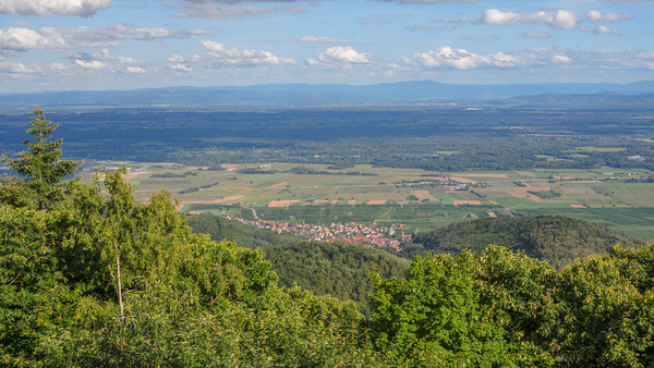 Blick Richtung Rheinebene vom Château du Haut-Koenigsbourg aus