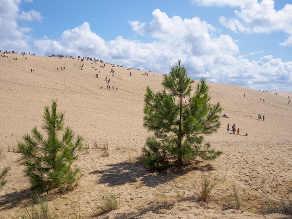 Dune of Pilat