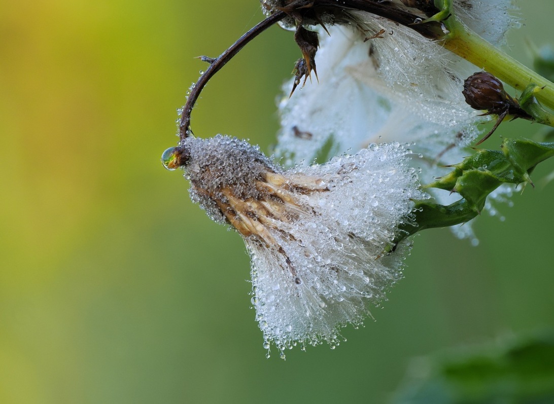 2023-10-09 16-12-50  x15_DxO-1310.jpg