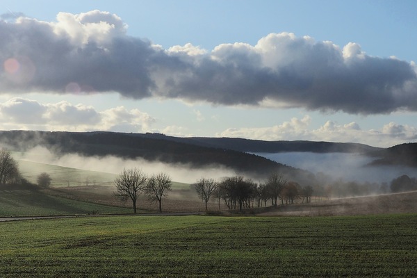 Nebel im Rurtal