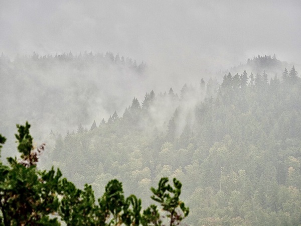 WT 41- Regen bringt Nebel und Glück...