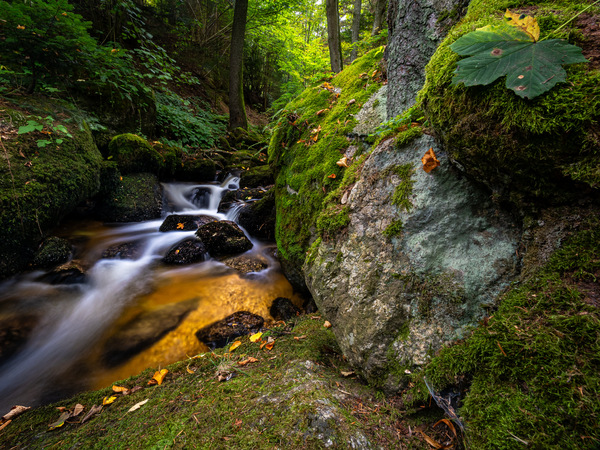 Ysperklamm