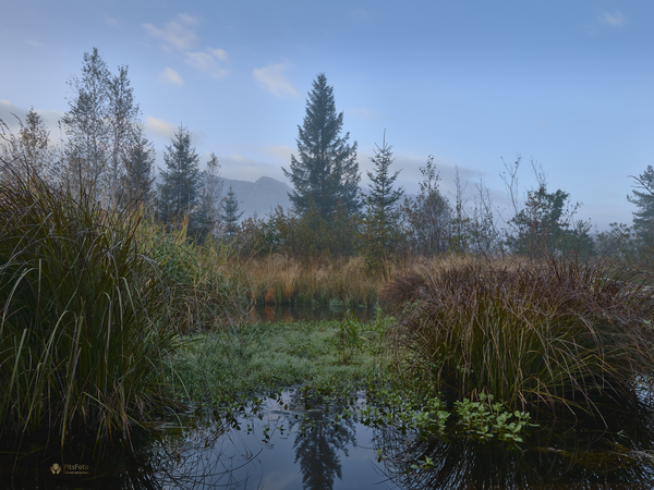 Inzell Moor 2