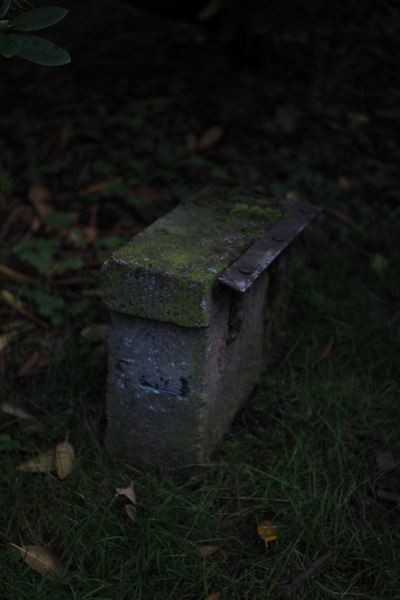 PA082641.JPG