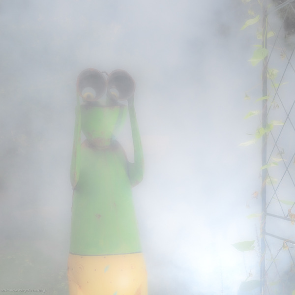 WT-41: Trübe Aussichten...