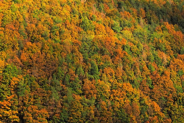 Herbst im Hunsrück