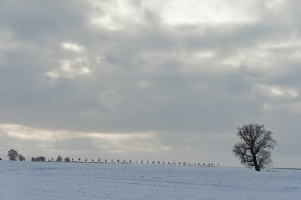 Und plötzlich ist es Winter