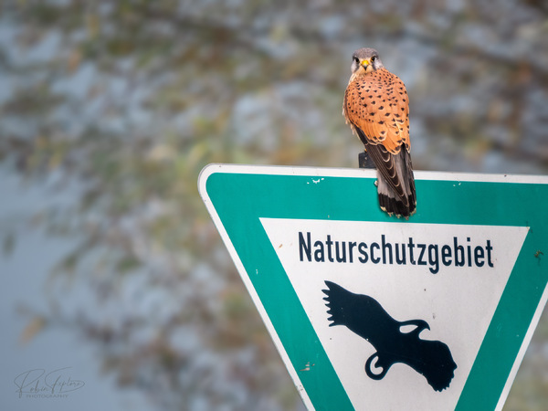 Naturschutzgebiet