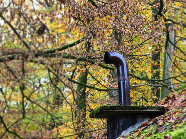 Ofenrohr im Herbstwald