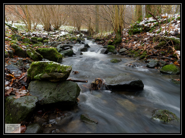 PB266392_Der Kohlbachsbach_450 m ü NN_DxO.jpg