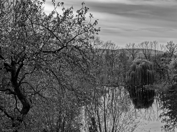 Weiher bei Darlingerode