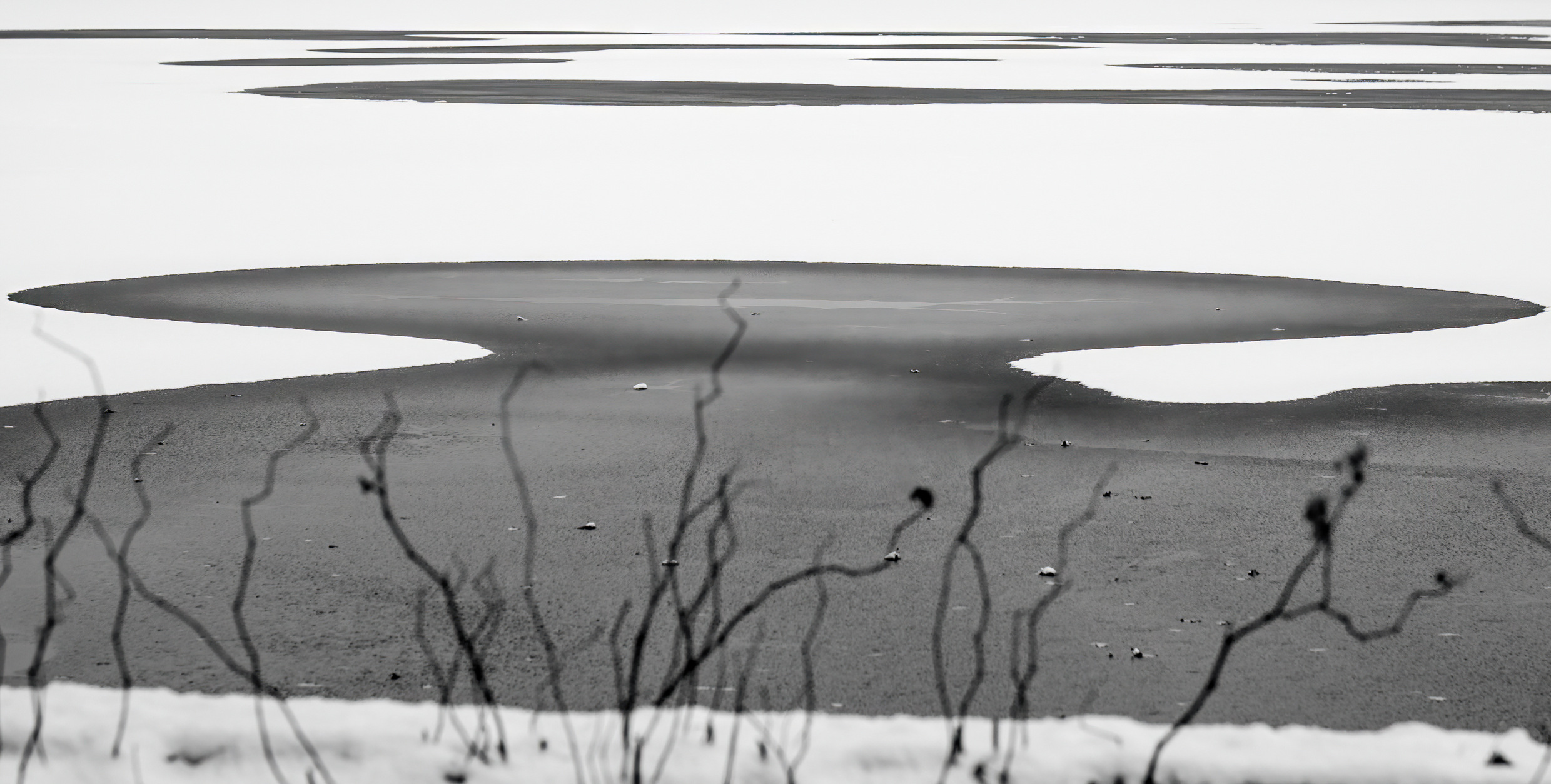 Omega auf dem Teich Omega auf dem Teich