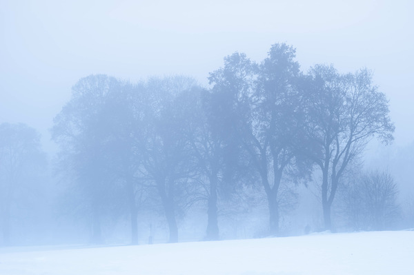 der weiße Nebel (2)...