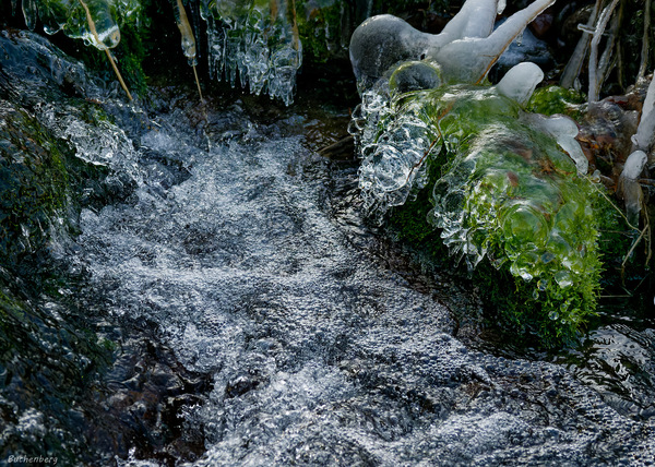 Frost im Bachlauf 5