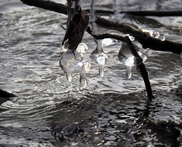 kaltes Wasser.JPG