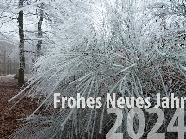Frohes Neues Jahr 2024