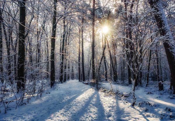 Heute bei uns im Wald...