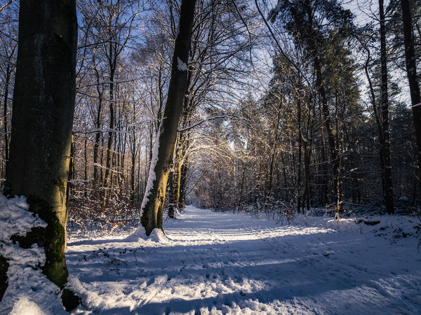 Der letzte schöne Tag?