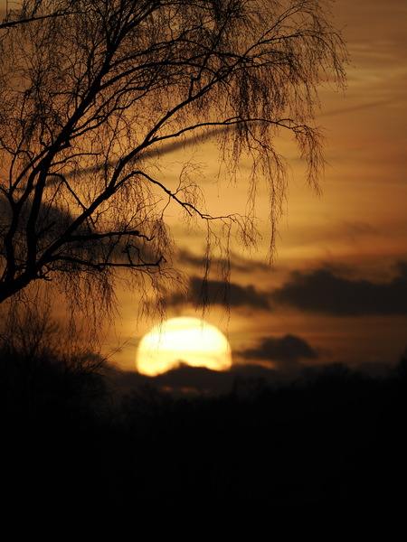 Sonnenuntergang über dem Moor