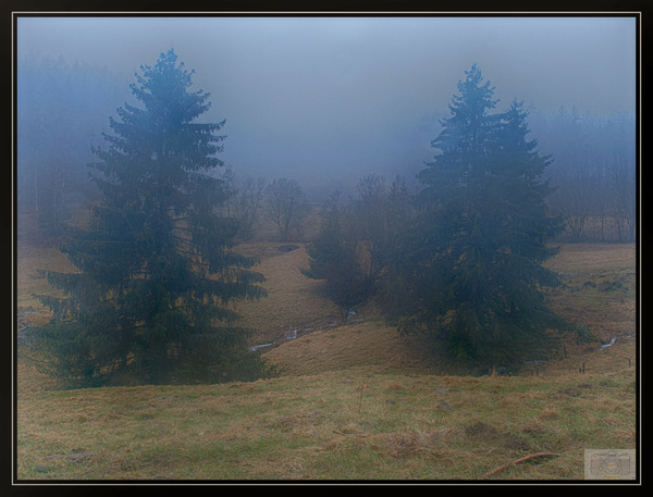 P2116972_Thüringer-Wald im Nebel_DxO.jpg