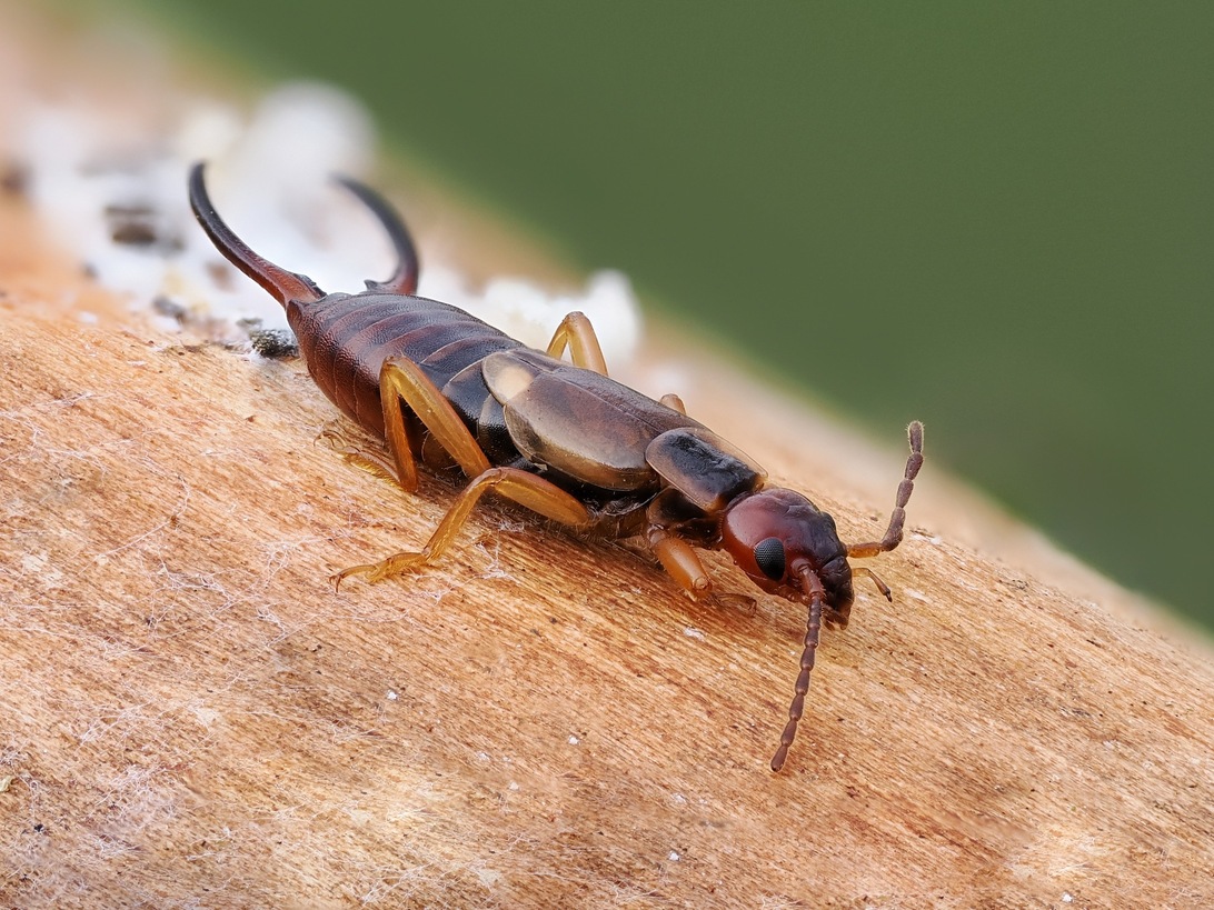 2024-02-19 15-50-32 x50_DxO-2000.jpg