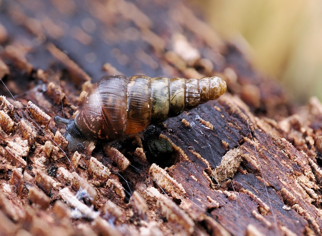 2024-03-16 18-18-36  x15_DxO-2000.jpg