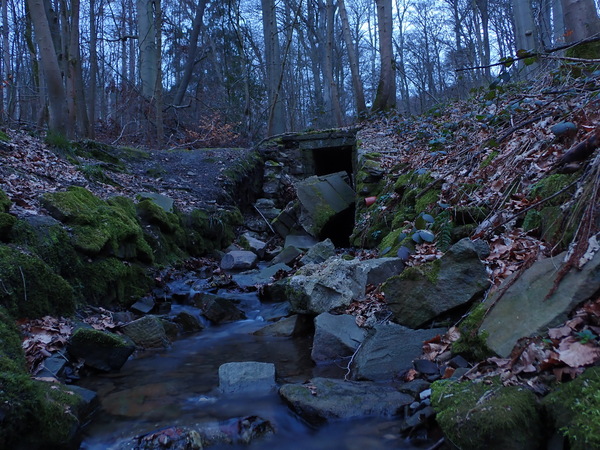 Ruine-im-Wald.JPG