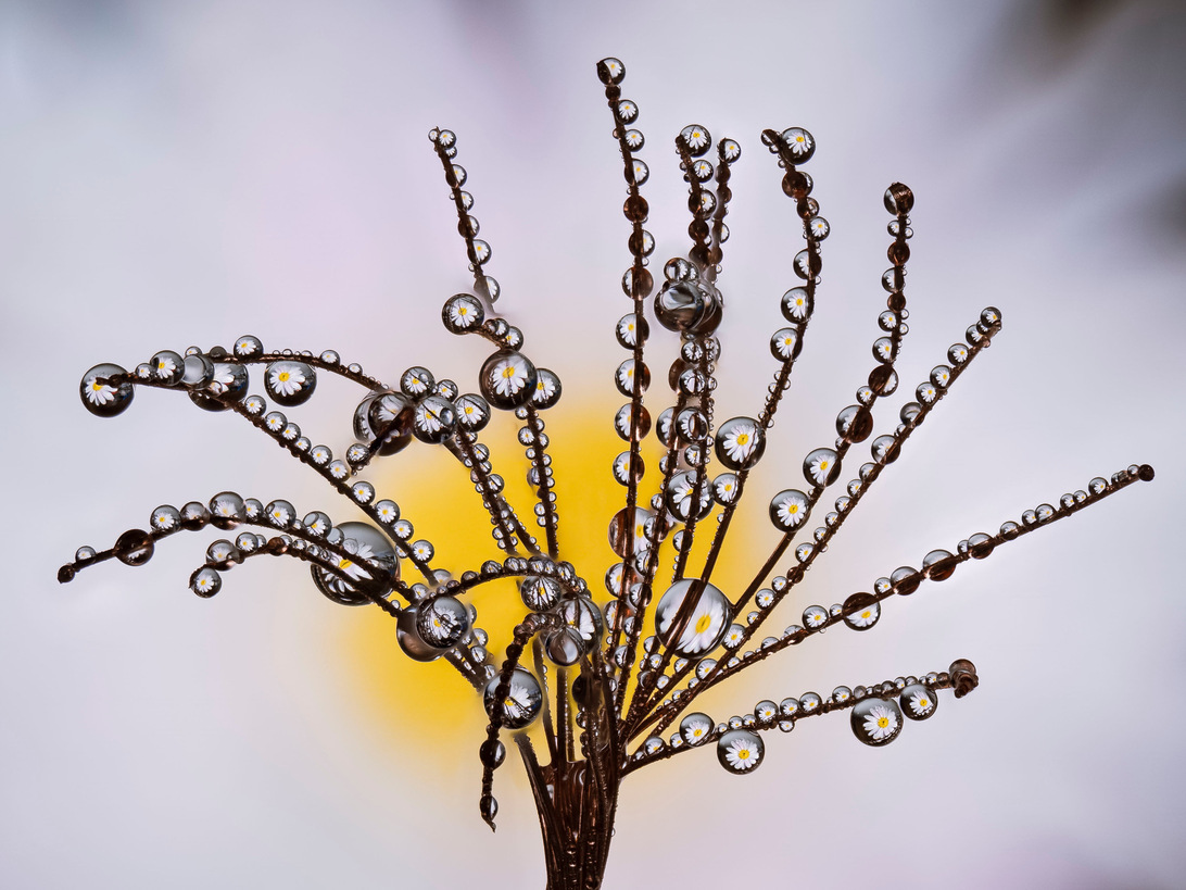 2024-04-21 21-22-51 (B,R8,S4)-Bearbeitet.jpg