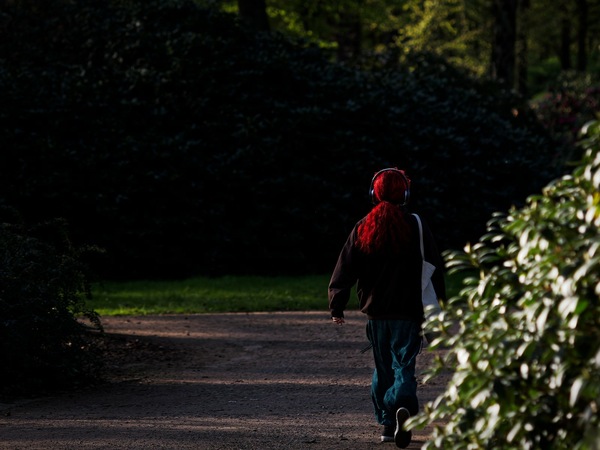 WT 16/17 - 2024: Walk in he Park