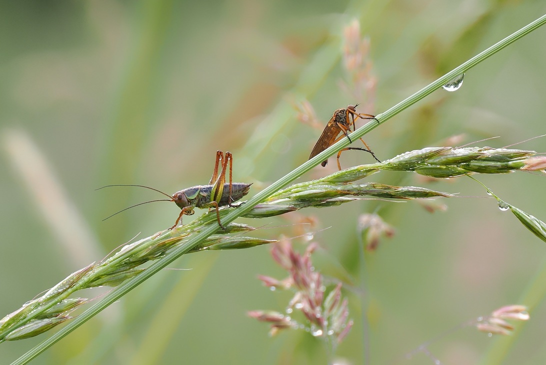 2024-06-06 16-15-26  x14_DxO-2000.jpg