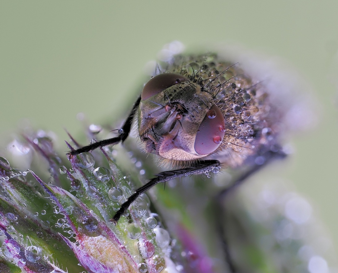 2024-06-08 18-33-12  x30_DxO-2000.jpg