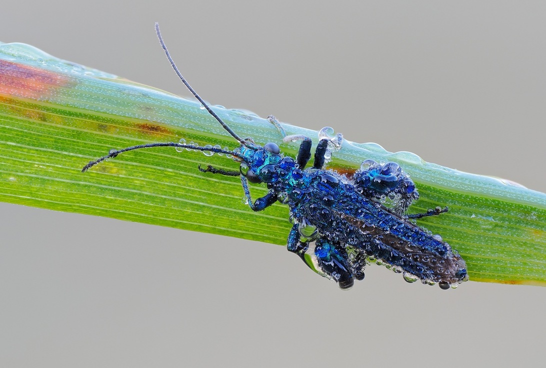 2024-06-26 10-48-19 B x30_DxO-2000.jpg