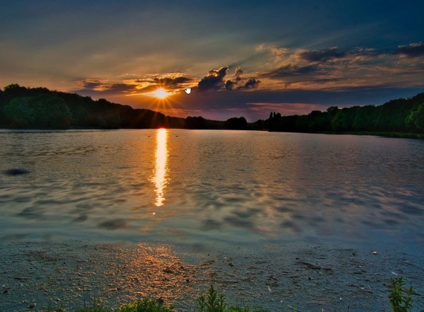 Decksteiner Weiher.jpg