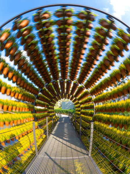 Dufttunnel