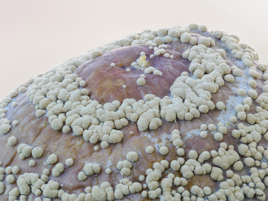 2024-07-24 20-52-19 (C,S4).jpg