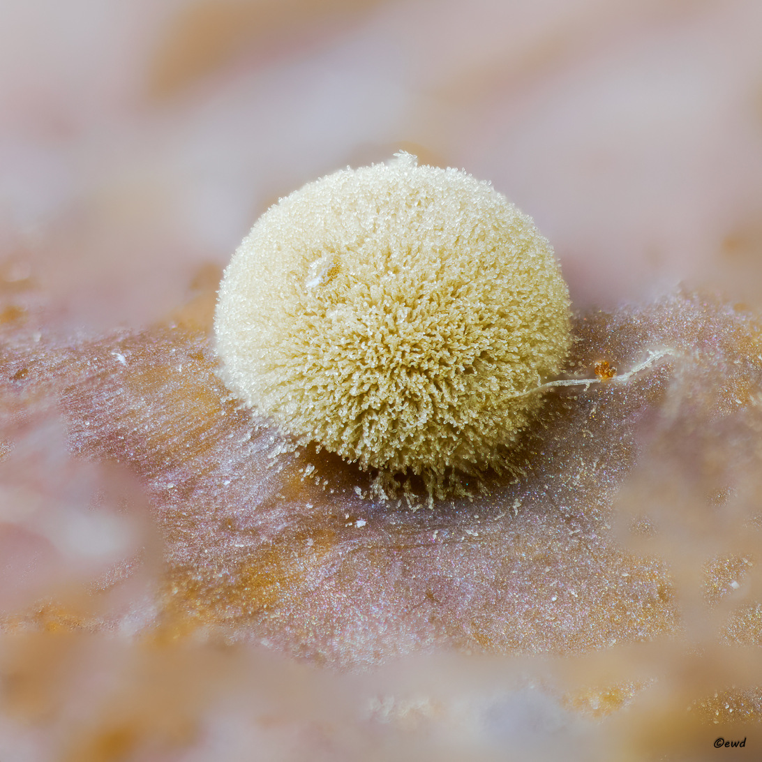 2024-07-24 21-17-00 (B,R8,S4)-Bearbeitet.jpg