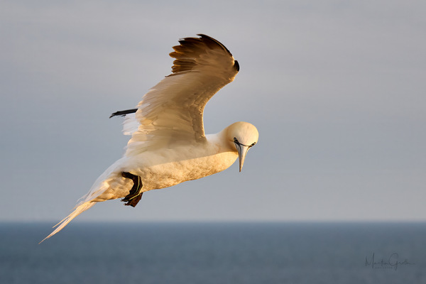 Vorbeiflug