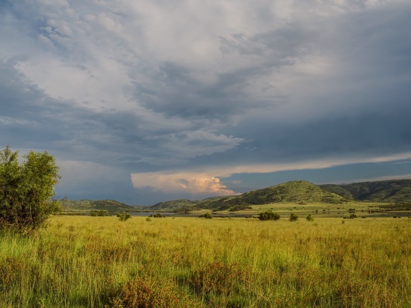 Pilanesberg am Abend