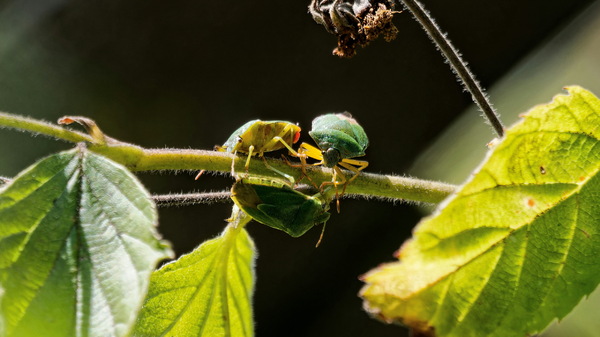 ...ich verschwinde ja schon...