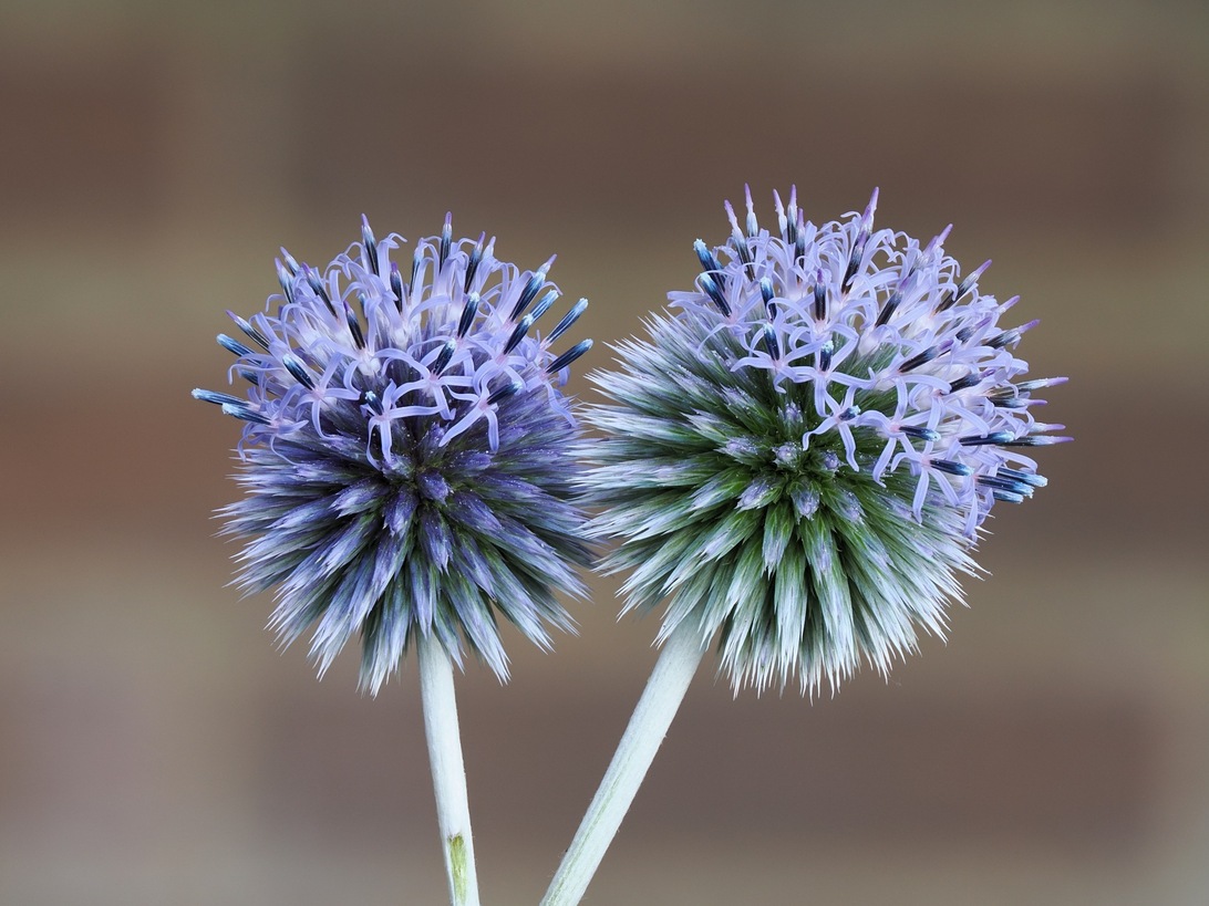 2024-08-02 18-34-44  x15_DxO-2000.jpg