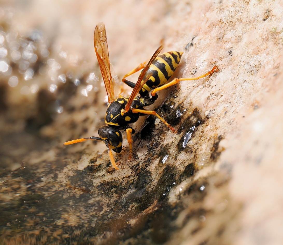 2024-08-02 18-44-37  x15_DxO-2000.jpg