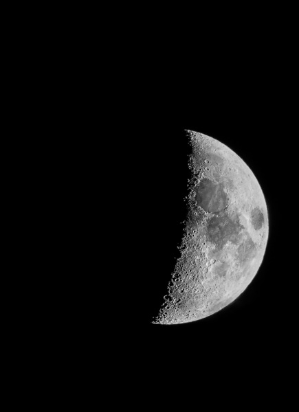 Mond