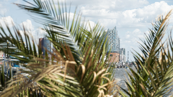 Manchmal, aber nur manchmal ...