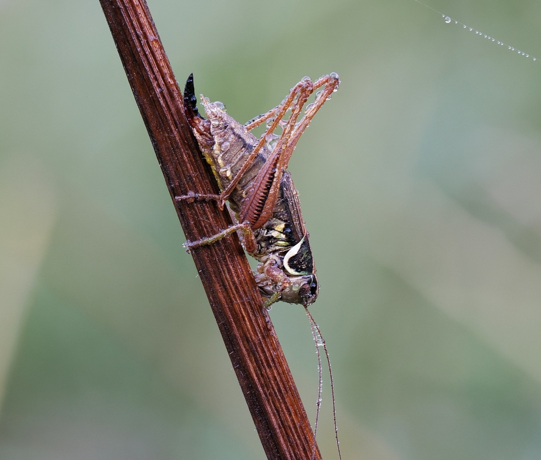 2024-08-28 20-22-51  x25_DxO-2000.jpg