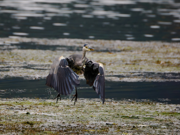 1…. Lift off