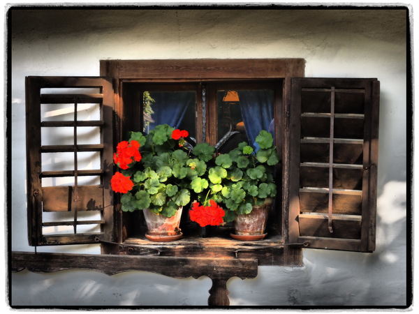 Augenweide