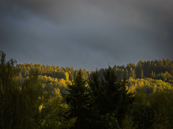 Landschaft im Licht I